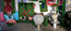 foto-04